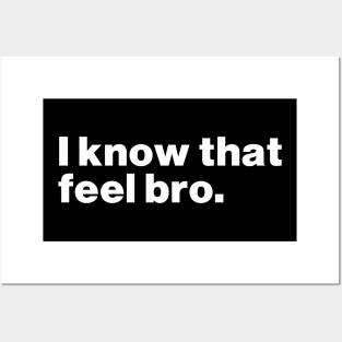 I Know That Feel Bro Posters and Art